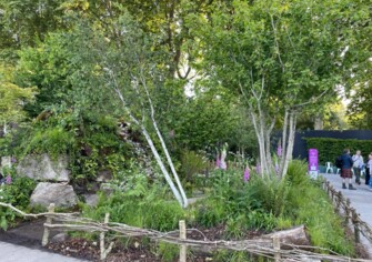 Chelsea flower show Zoe Claymore Boathouse design Stuido Sophie Bates.jpeg